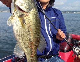 釣果情報~琵琶湖ボート~(豊中店) 釣果情報~琵琶湖ボート~(豊中店)