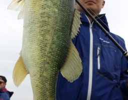 釣果情報~琵琶湖ボート~(豊中店) 釣果情報~琵琶湖ボート~(豊中店)