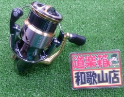 ステラ、ソルティガ入荷！！