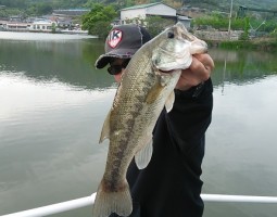 釣果情報 記憶に残る”おかっぱり” (豊中店) 釣果情報 記憶に残る”おかっぱり” (豊中店)