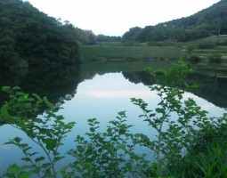 釣果報告 野池のバスをランガン釣行 (豊中店) 釣果報告 野池のバスをランガン釣行 (豊中店)