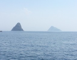 日本海ジギング釣果情報 (塩屋店) 日本海ジギング釣果情報 (塩屋店)