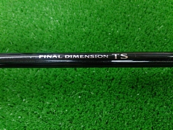 ファイナルディメンションTS