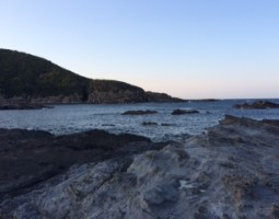 和歌山エギング釣行(大東店) 和歌山エギング釣行(大東店)