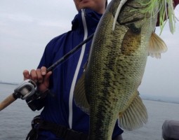 釣果情報～琵琶湖ボート～（豊中店）