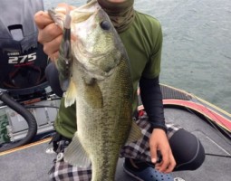 釣果情報～琵琶湖ボート～（豊中店）