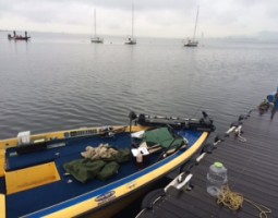 琵琶湖釣果情報(大東店) 琵琶湖釣果情報(大東店)