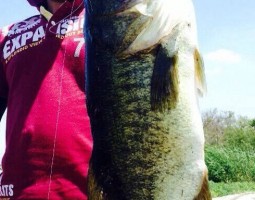 琵琶湖釣果情報!!(茨木店) 琵琶湖釣果情報!!(茨木店)