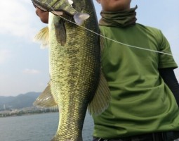 釣果情報～琵琶湖ボート～（豊中店）