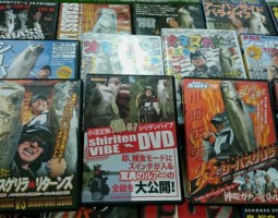 シーバスDVD大量入荷!! (山科店) シーバスDVD大量入荷!! (山科店)