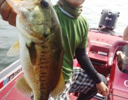 釣果情報~琵琶湖ボート~(豊中店) 釣果情報~琵琶湖ボート~(豊中店)