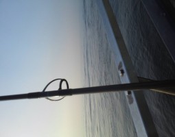 平塚 シイラ釣行 (幕張店) 平塚 シイラ釣行 (幕張店)