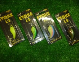 大東店入荷情報! 大東店入荷情報!