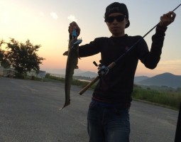 堺南店　釣果情報!!　