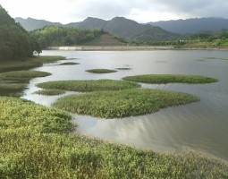 釣果報告 ”香川 うどんとバスの旅” 釣果報告 ”香川 うどんとバスの旅”