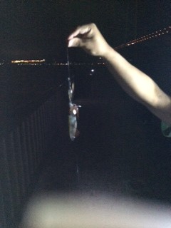 アジュール舞子 釣果(大東店) アジュール舞子 釣果(大東店)