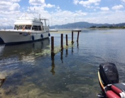 琵琶湖釣果情報!(大東店) 琵琶湖釣果情報!(大東店)