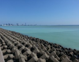 釣果情報 シーバス好調!!(幕張店) 釣果情報 シーバス好調!!(幕張店)