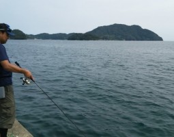 釣果情報 日本海 伊根・・・エギング? 釣果情報 日本海 伊根・・・エギング?