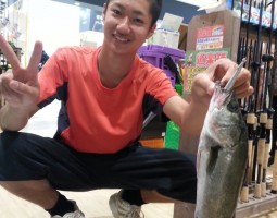 ★☆シーバス釣果情報☆★　(幕張店)