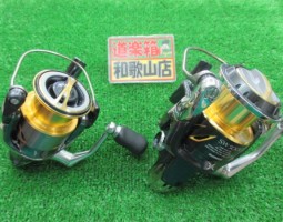 ステラ入荷！！