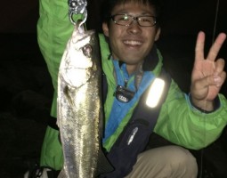 ☆★シーバス釣果情報★☆