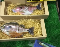 ブルシューター、猛闘犬丸が入荷!!(塩屋店) ブルシューター、猛闘犬丸が入荷!!(塩屋店)