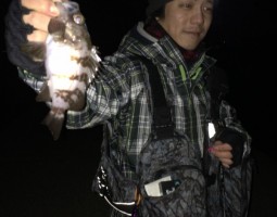 ☆内房メバル情報☆ (幕張店) ☆内房メバル情報☆ (幕張店)