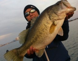 釣果情報~琵琶湖ボート~(豊中店) 釣果情報~琵琶湖ボート~(豊中店)