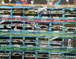 フォトトーナメント結果報告 (豊中店) フォトトーナメント結果報告 (豊中店)