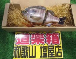 ＮＥＷスライドスイマー、ラトルＩＮブルシューター入荷！！（和歌山塩屋店）