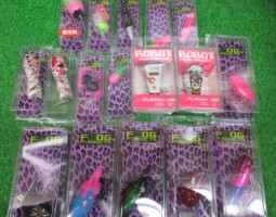 フロッグ入荷！