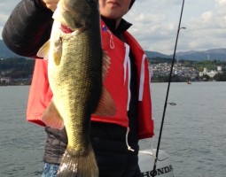 琵琶湖釣果情報（ボート）　大東店