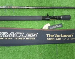 ヘラクレス アクテオン、 スティーズ ハスラー 入荷(道楽箱 山科店) ヘラクレス アクテオン、 スティーズ ハスラー 入荷(道楽箱 山科店)