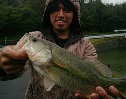 釣果情報。（淡路島・琵琶湖編）　（茨木店