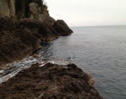 串本エギング釣行!! 串本エギング釣行!!