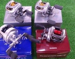 オシアカルカッタ等々入荷!! 四日市店 オシアカルカッタ等々入荷!! 四日市店