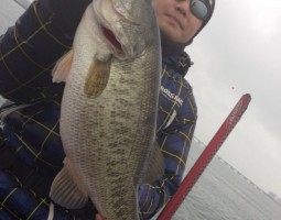 釣果情報～琵琶湖ボート～（豊中店）