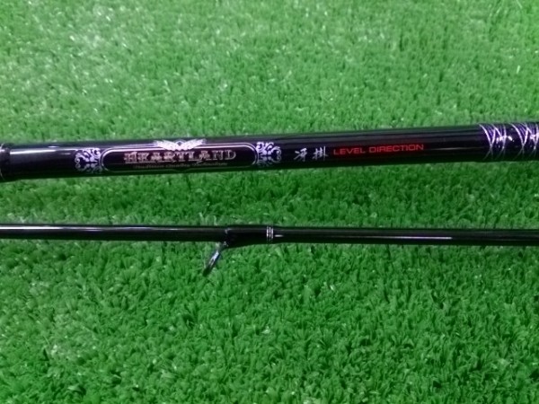 レベルディレクション