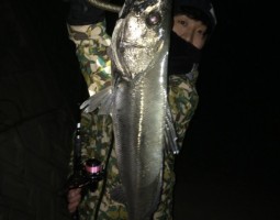 和歌山　釣果情報ヽ(*´∀`)ﾉ　ソルト編–　爆釣レベル★★★