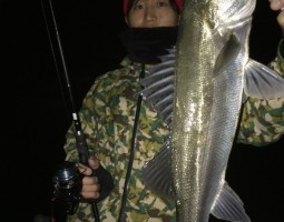 和歌山 釣果情報ヽ(*´∀`)ノ ソルト編– 爆釣レベル★★★★ 和歌山 釣果情報ヽ(*´∀`)ノ ソルト編– 爆釣レベル★★★★