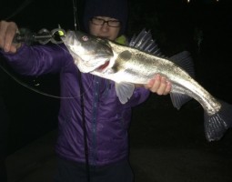 シーバス釣行に行ってきました!(和歌山塩屋店) シーバス釣行に行ってきました!(和歌山塩屋店)