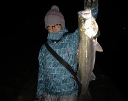 和歌山店釣果情報シーバス