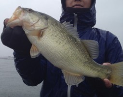 釣果情報～琵琶湖ボート～（豊中店）