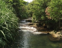 西表島 釣果情報ヽ(*´∀`)ノ ソルト編– 爆釣レベル★★ 西表島 釣果情報ヽ(*´∀`)ノ ソルト編– 爆釣レベル★★