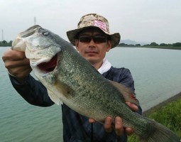 釣果報告　ヘラクレス　スティーズ　ＳＳ　ＡＩＲ　（高槻店）