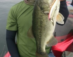 釣果情報～琵琶湖ボート～（豊中店）