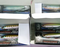 ジャスティーン入荷!!　徳島石井店