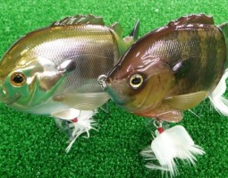 初期ブルシューター サイドワインダー アンタレス (高槻店) 初期ブルシューター サイドワインダー アンタレス (高槻店)