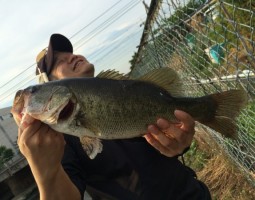 河川釣行（豊中店）
